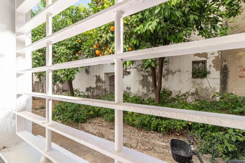 La Casa De Los Arcos - Casco Historico - Parking Opcional Jerez de la Frontera Buitenkant foto