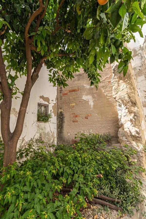 La Casa De Los Arcos - Casco Historico - Parking Opcional Jerez de la Frontera Buitenkant foto
